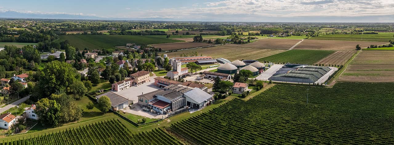 Cantina Vini ad Azzano Decimo